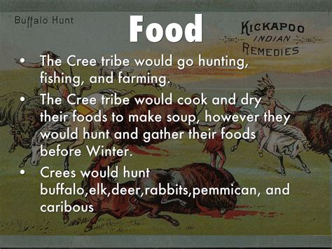 cree wikipedia|what did the cree eat.